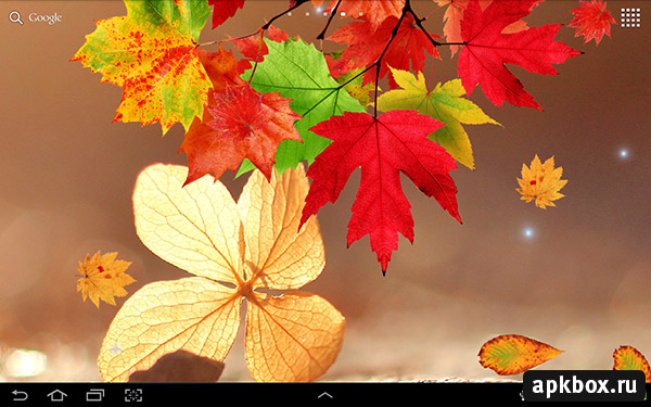 Falling Autumn Leaves -   