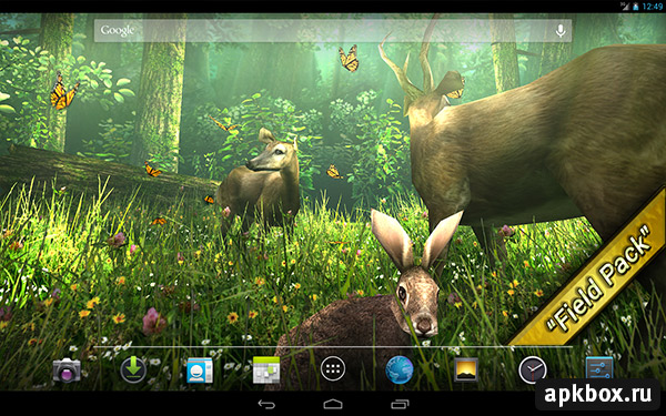 Forest HD.    DualBoot Games