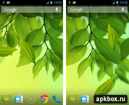 Galaxy S4 Leaf - живые обои с зеленью