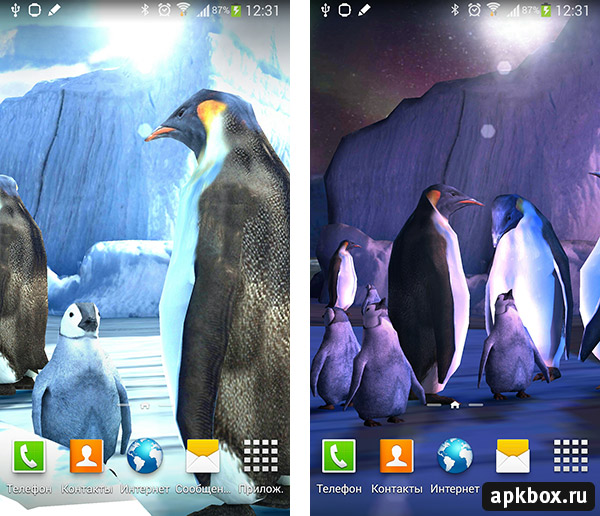 Penguins 3D. Обои с анимированными пингвинами