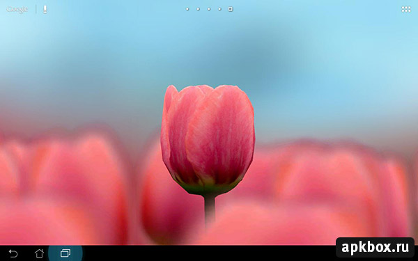 Tulip 3D для Андроид. Живые обои с тюльпаном