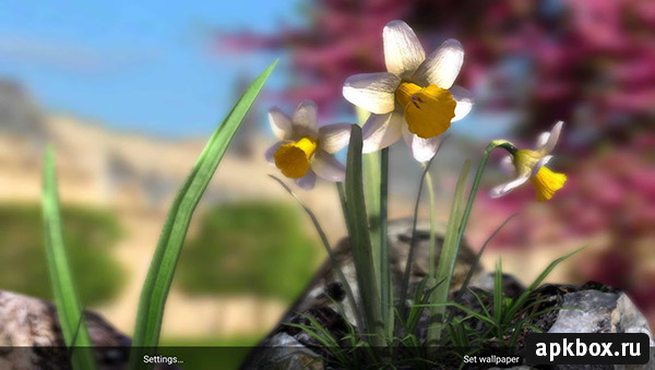 Nature Live: Spring Flowers