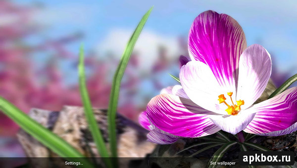 Nature Live: Spring Flowers