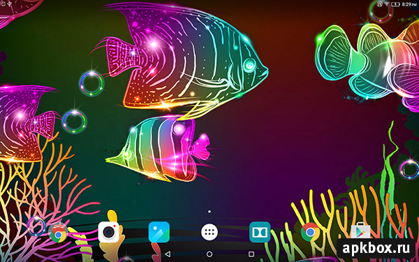 Neon Fish 3D