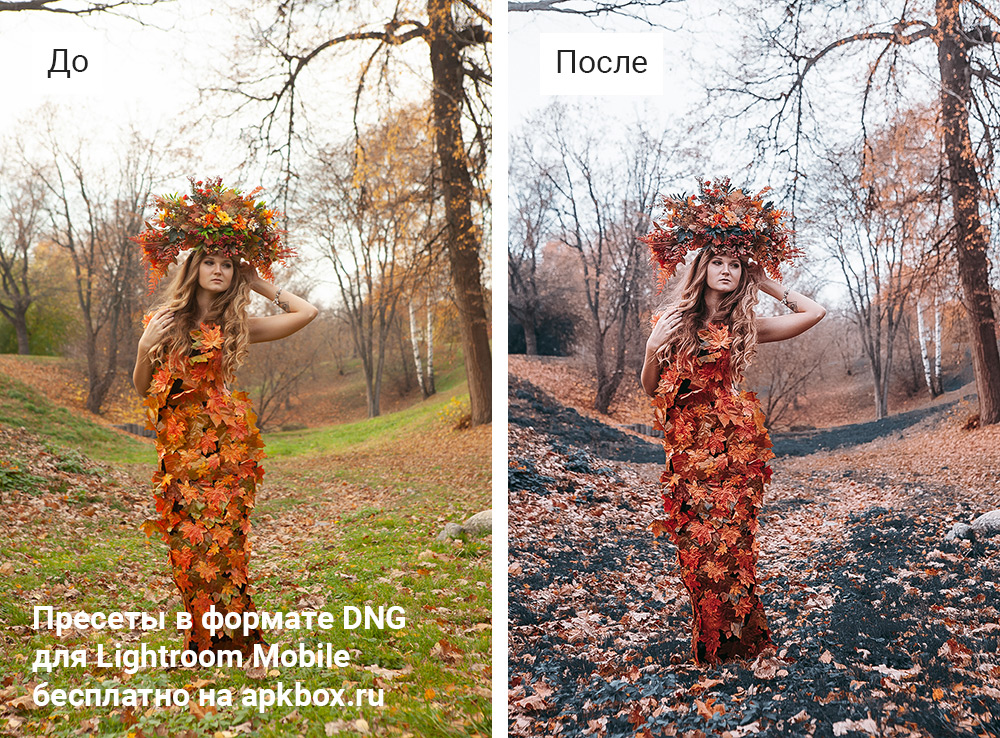 Bijou Preset Pack, скриншот 5