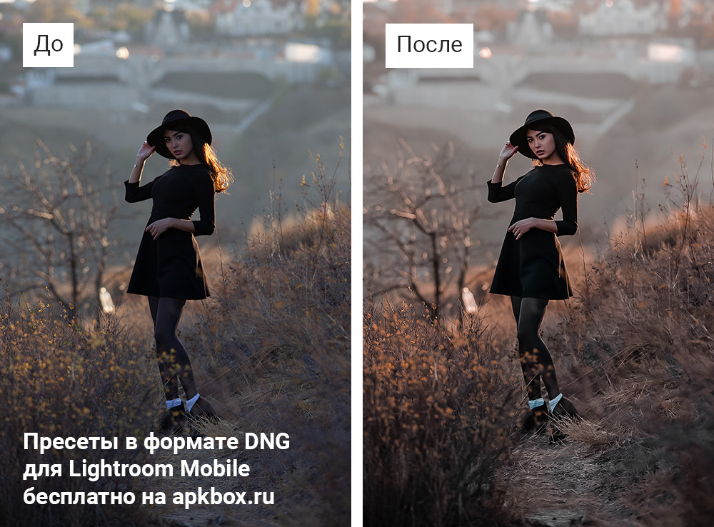 Cutra Duo Preset Pack, скриншот 2